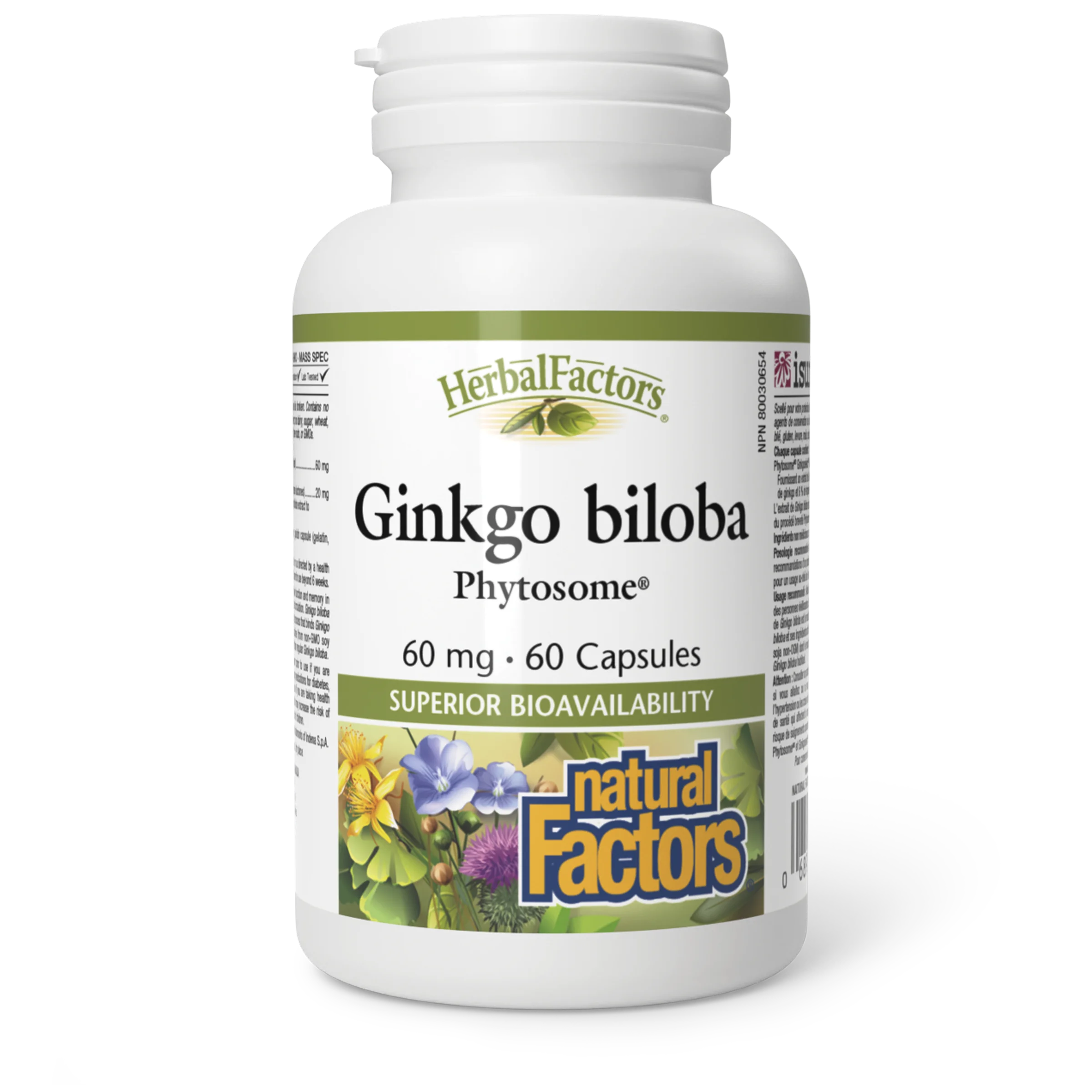 GinkgoBiloba Phyto 60mg Cap 60